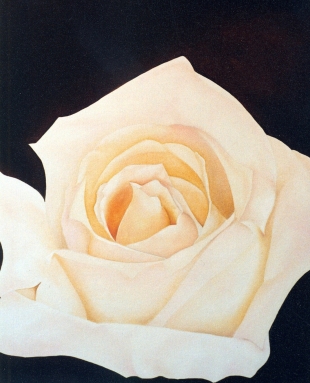 "Rose pale"